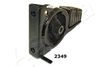 GOM-2349_1.JPG
