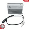 Sensor, Abgastemperatur