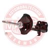 317109-PCS-MS.JPG