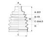 BCB6421_914238.JPG
