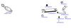 OP-EXSTY404_20260529082142.JPG