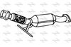 P9540CAT.JPG