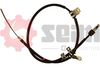 554177.JPG