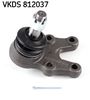 VKDS 812037.JPG