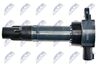 ECZ-ME-008_3-WM.JPG