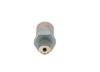 Bosch Pressure Relief Valve, common rail system 1 110 010 021