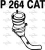 P264CAT.JPG