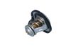 Termostat, chladivo 725140