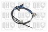 QH_BC3621.JPG