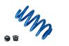 Bilstein Suspension Kit, coil springs / shock absorbers 53-259141