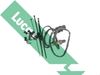 04_LEB975_975981.JPG