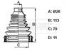 BCB6407_832283.JPG