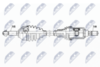 NPW-FR-125_9-WM.PNG