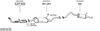 SYS13716.JPG