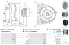 A01075(SEG)_256960.JPG