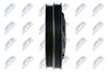 RKP-MS-009_3-WM.JPG