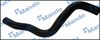 DCC020729(1).JPG