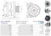 A01277(SEG)_256960.JPG
