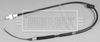BKC1159_1217055.JPG