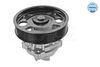 Meyle 613 220 0002 Water Pump, engine cooling