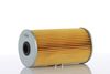 WP2010.JPG