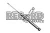 Амортизатор RECORD FRANCE 333841
