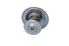 Termostat, chladivo 725214