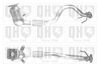 QH_QCAT91867H.JPG