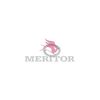 Arvin Meritor Distanzscheibe - 21006627