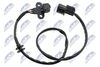 ECP-MS-016_1-WM.JPG