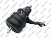 533101.JPG