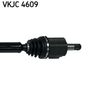 VKJC 4609_3.JPG