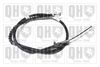 QH_BC3697.JPG
