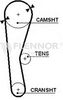 4917_001.BMP