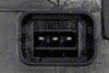 BWP-CT-012_6-WM.JPG
