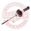 317132-PCS-MS.JPG