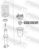CDD-ESCVF_1.JPG