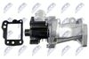 EGR-FR-008_6-WM.JPG