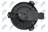 EWN-FR-004_5-WM.JPG