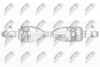 NPW-TY-181_9-WM.PNG