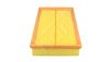 20200724_1_347_001.JPG