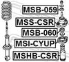 MSI-CYUP_1.JPG