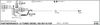 563000306.BMP