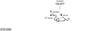 SYS13496.JPG