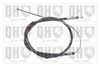 QH_BC3908.JPG