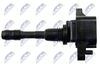ECZ-RE-020_4-WM.JPG