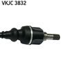 VKJC 3832_3.JPG
