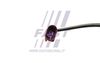 FT80273_4_1.JPG