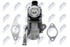 EGR-FR-007_5-WM.JPG