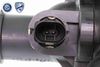 V15-99-1908_05.JPG